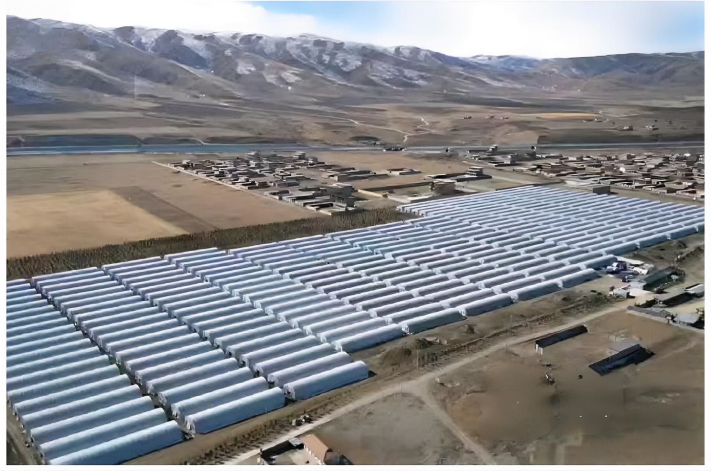 6923cd32a28bf.jpg 川贝母种植基地二.jpg